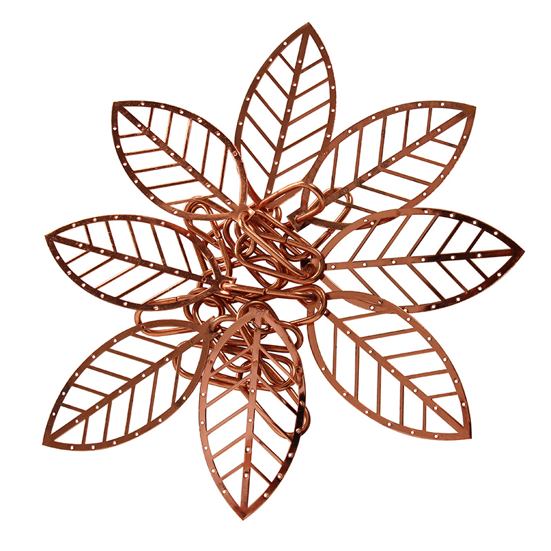 GBGRC01016-01-金枝玉叶_4