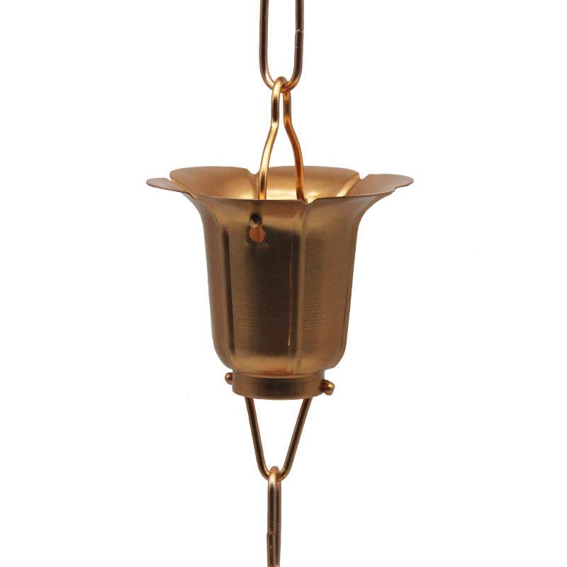 GBGRC01028-01-出水芙蓉zt_1 (1)