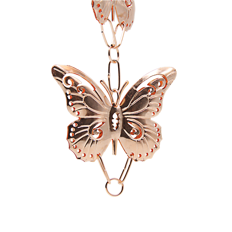 GBGRC01031-01-芊芊蝴蝶_1