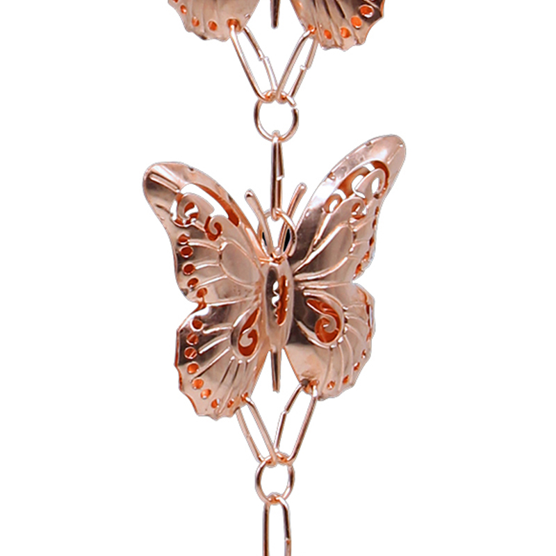 GBGRC01031-01-芊芊蝴蝶_2